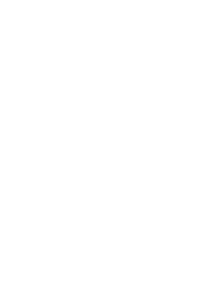 PLANE GLOBE